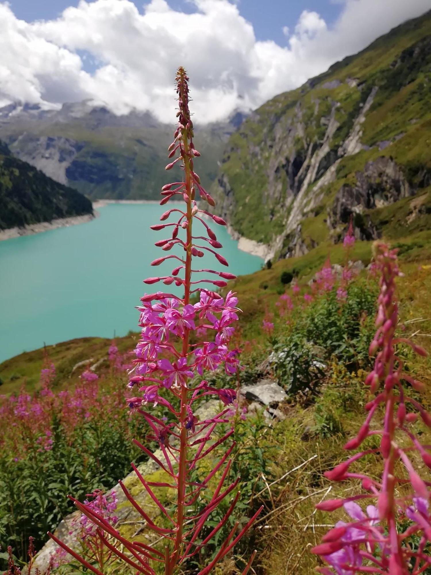 Appartamento Haus Zervreila