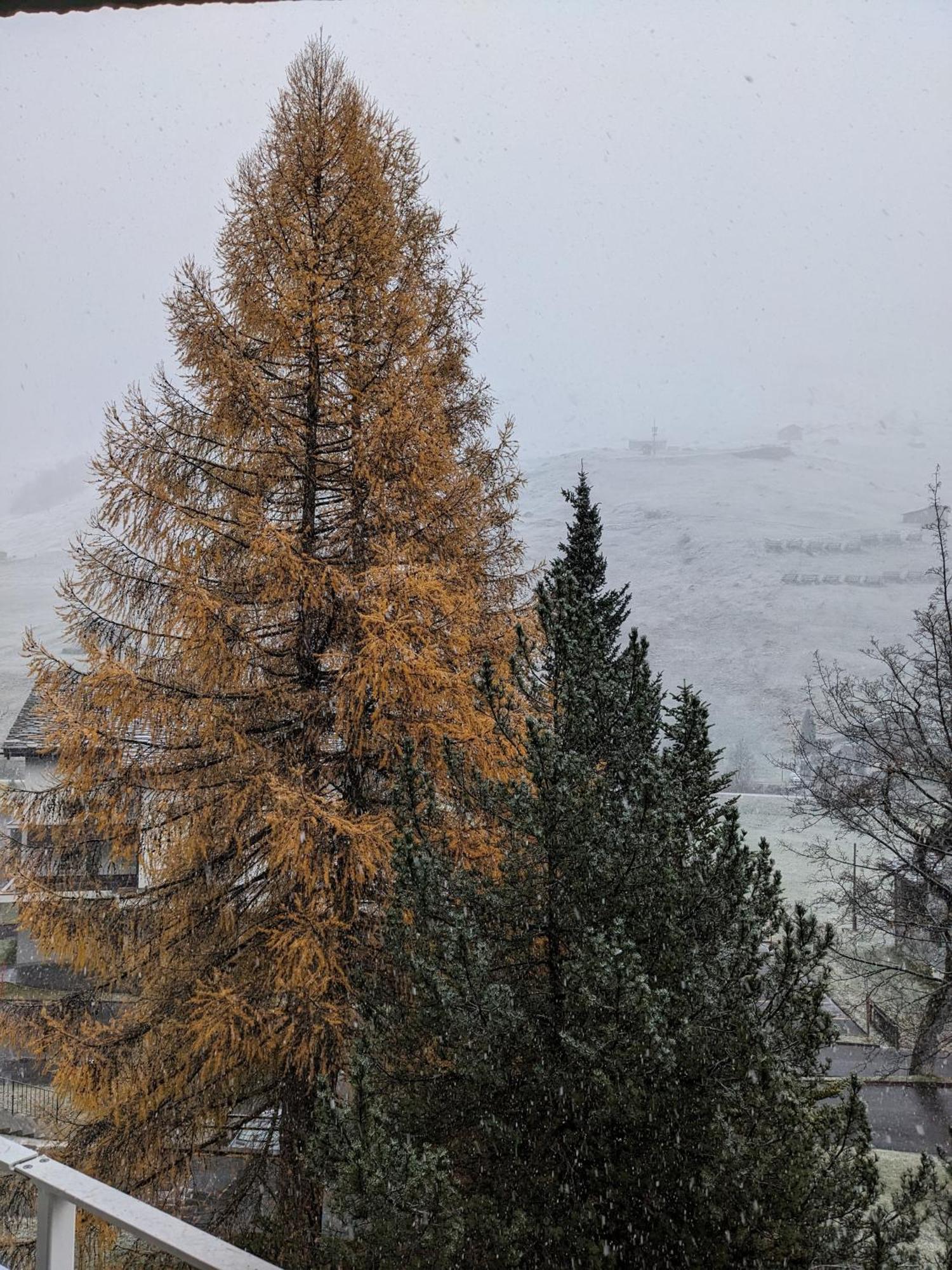 Appartamento Haus Zervreila *