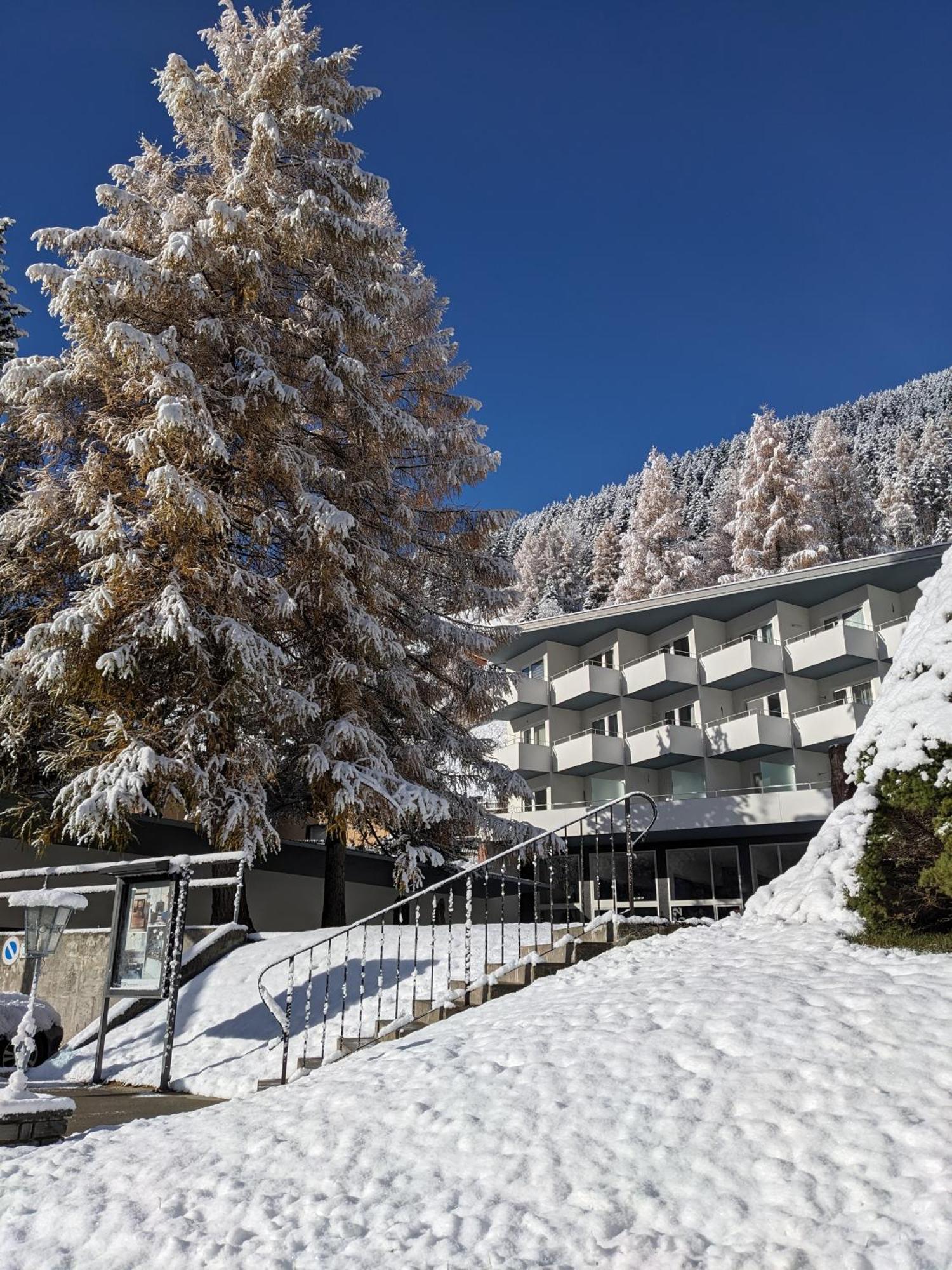 Haus Zervreila Apartment *