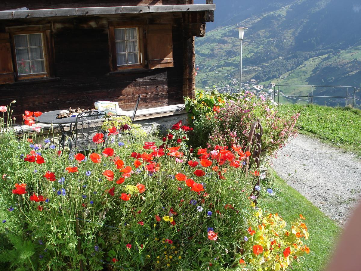Haus Zervreila *