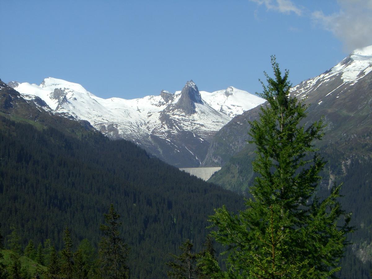 Appartamento Haus Zervreila